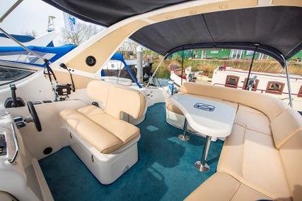 Sealine 360 Ambassador