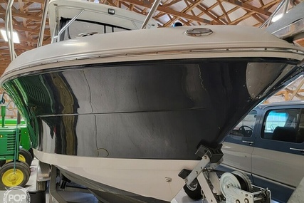 Robalo R305