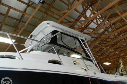 Robalo R305