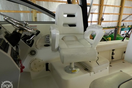 Robalo R305