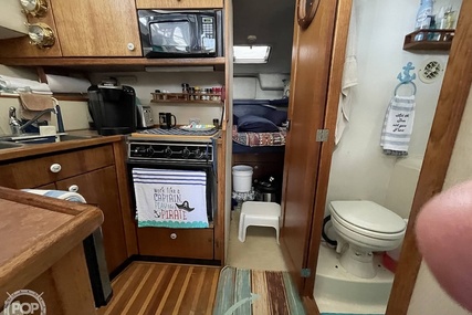 Bayliner 3388 Command Flybridge