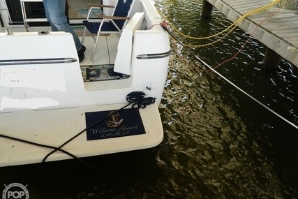 Bayliner 3388 Command Flybridge