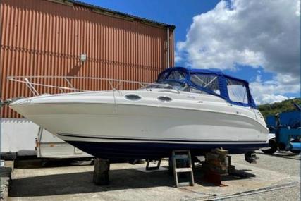 Sea Ray Sun Dancer 260