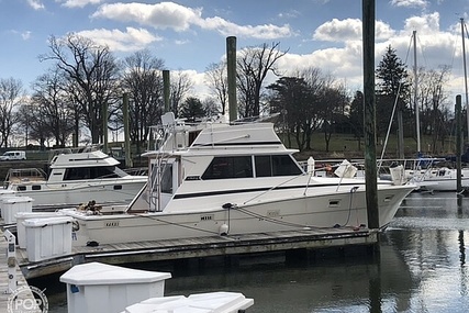 Viking 35 Convertible