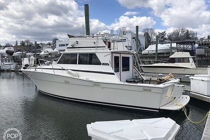 Viking 35 Convertible