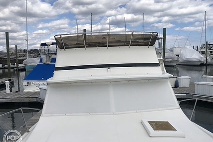 Viking 35 Convertible