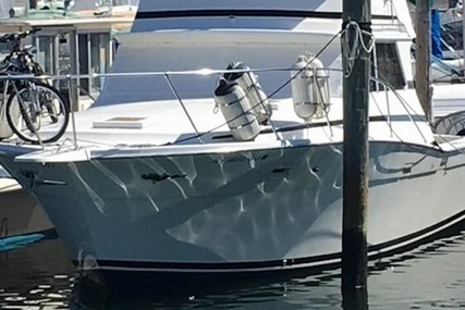 Viking 35 Convertible