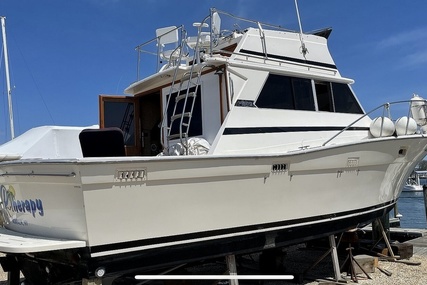 Viking 35 Convertible