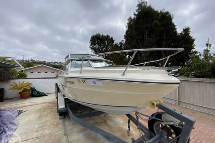 Sea Ray SRV 220 Overnighter