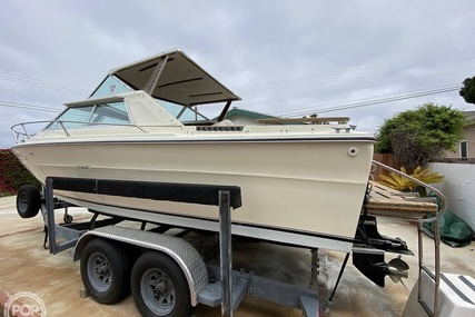 Sea Ray SRV 220 Overnighter