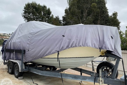 Sea Ray SRV 220 Overnighter