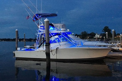 Luhrs 320 Express