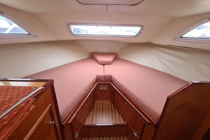 Aquafibre Boats Pearl 38