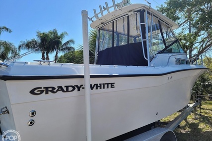 Grady White 25 dolphin