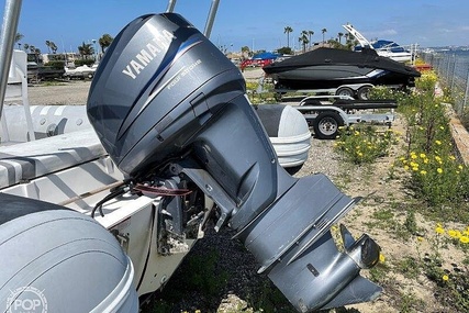 Apex A-24 RIB