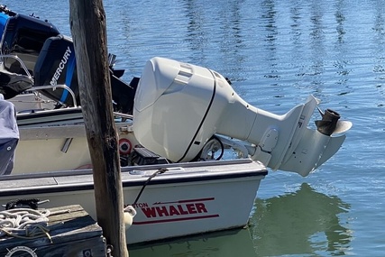 Boston Whaler 18 Outrage