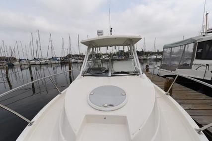 Striper 220 Walkaround