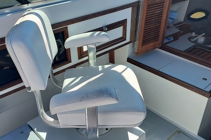 Robalo R2565