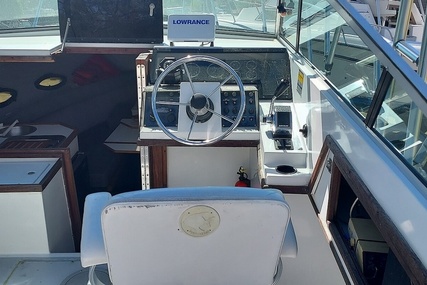 Robalo R2565