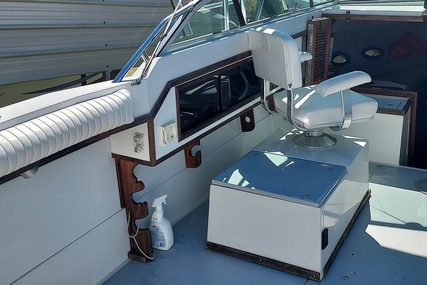 Robalo R2565