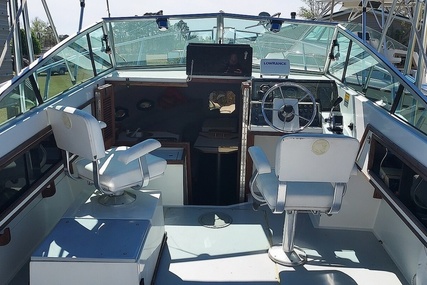 Robalo R2565