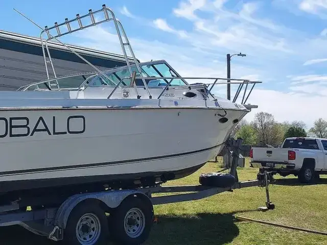 Robalo R2565