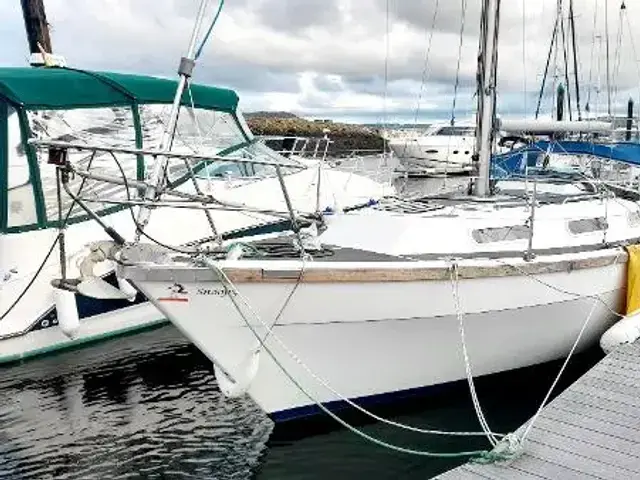 Colvic Countess 28