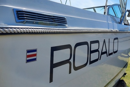 Robalo R2565