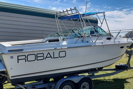 Robalo R2565