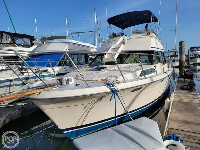 Bayliner 3550 Bristol