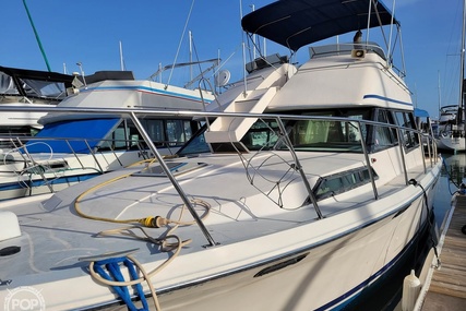 Bayliner 3550 Bristol