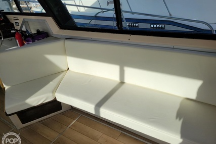 Bayliner 3550 Bristol