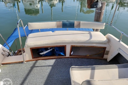 Bayliner 3550 Bristol