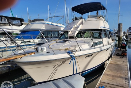 Bayliner 3550 Bristol