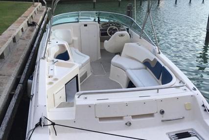 Rinker 272 Captiva Cuddy