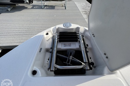 Chaparral 243 Vortex