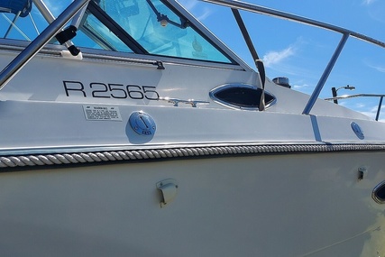 Robalo R2565