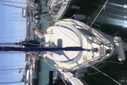 Imexus 28 IB MotorSailer