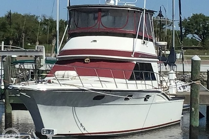 Californian SportFish Convertible 42