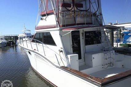 Californian SportFish Convertible 42