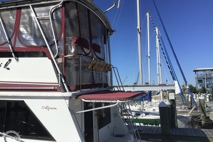 Californian SportFish Convertible 42