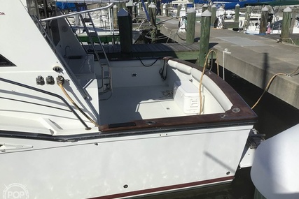 Californian SportFish Convertible 42