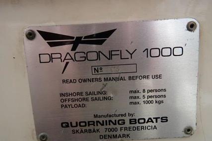 Dragonfly 1000 Swing Wing