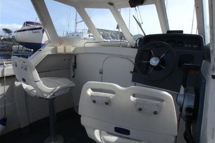 Raider 18 Wheelhouse