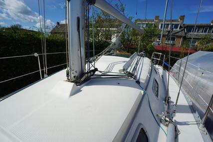 Beneteau First 310