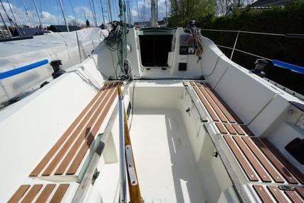 Beneteau First 310