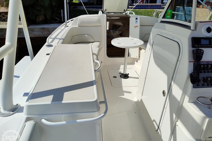 Scarab 30 Sport Cuddy