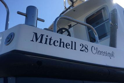 Mitchell Marine Sea Warrior MKII Classique