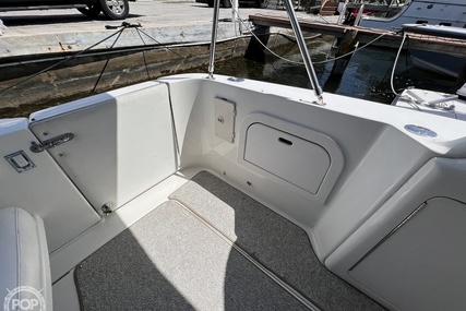 Sea Ray Sundancer 400