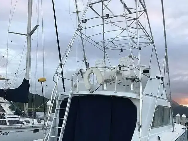 Egg Harbor 38 Sedan Fisherman